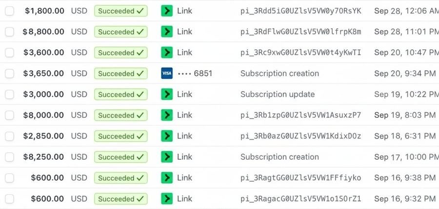 Stripe Payments Log showing $41,100+ Processed